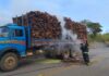 Bombeiros combate incêndio em caminhão com madeira