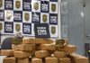 Polícia Civil prende traficantes com 15 kg de maconha na BR040