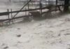 Chuva de granizo e vento provoca queda de árvore e interdita rodovia em Caranaíba