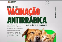 Dia D de Vacinação Antirrábica amplia proteção de cães e gatos em Conselheiro Lafaiete